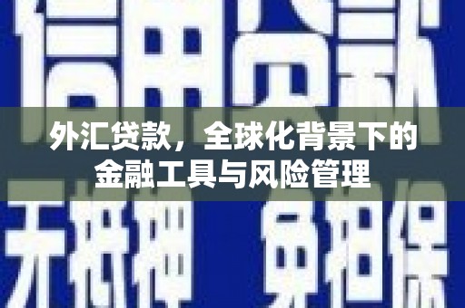 南海外汇贷款，全球化背景下的金融工具与风险管理