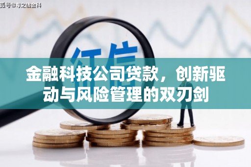 阆中金融科技公司贷款，创新驱动与风险管理的双刃剑